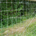 Grassland Fence-Hot dipped Galvanized Kraal Network Fence